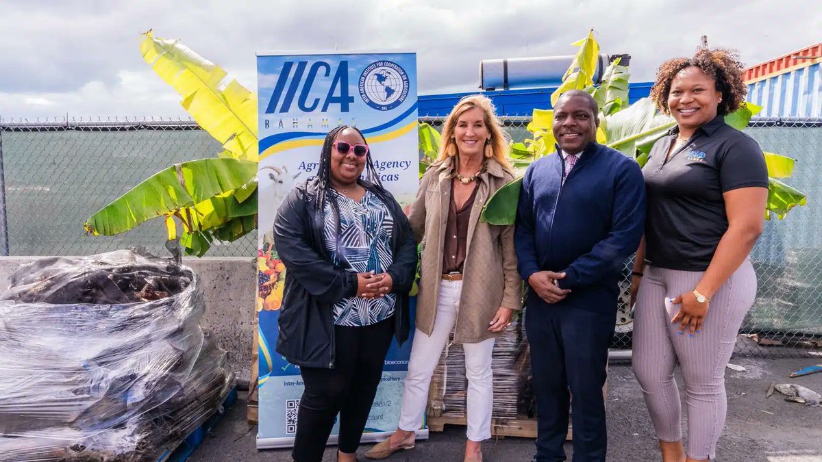 Ministro de Agricultura y Recursos Marinos de Bahamas 🇧🇸, junto a la Representante del <a href="/IICAnoticias/">IICA</a> en ese país, avanzan en la distribución de insumos para agricultores afectados por el huracán Melissa 👏

Conoce más aquí: iica.int/es/prensa/noti…