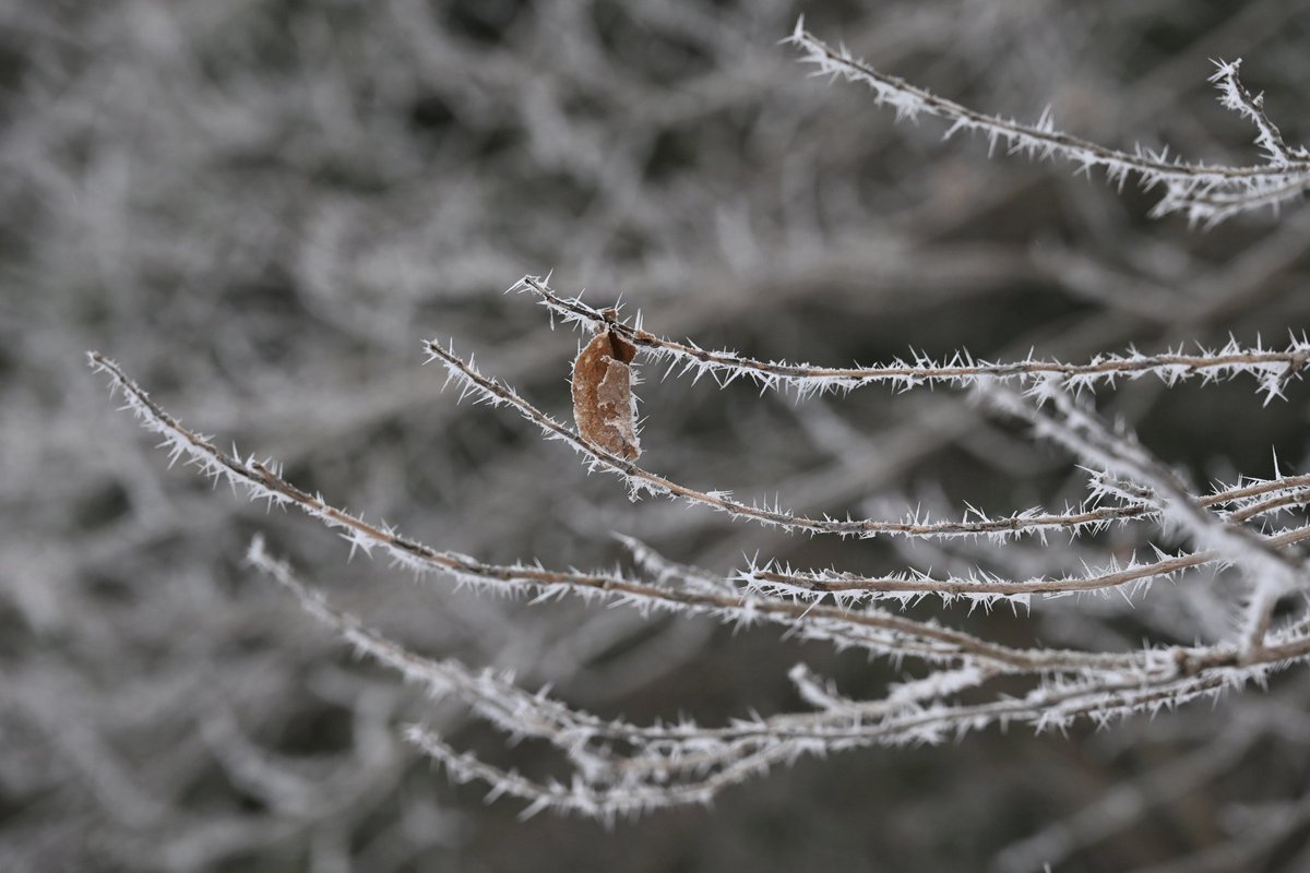 8703photography (@8703photography) on Twitter photo 