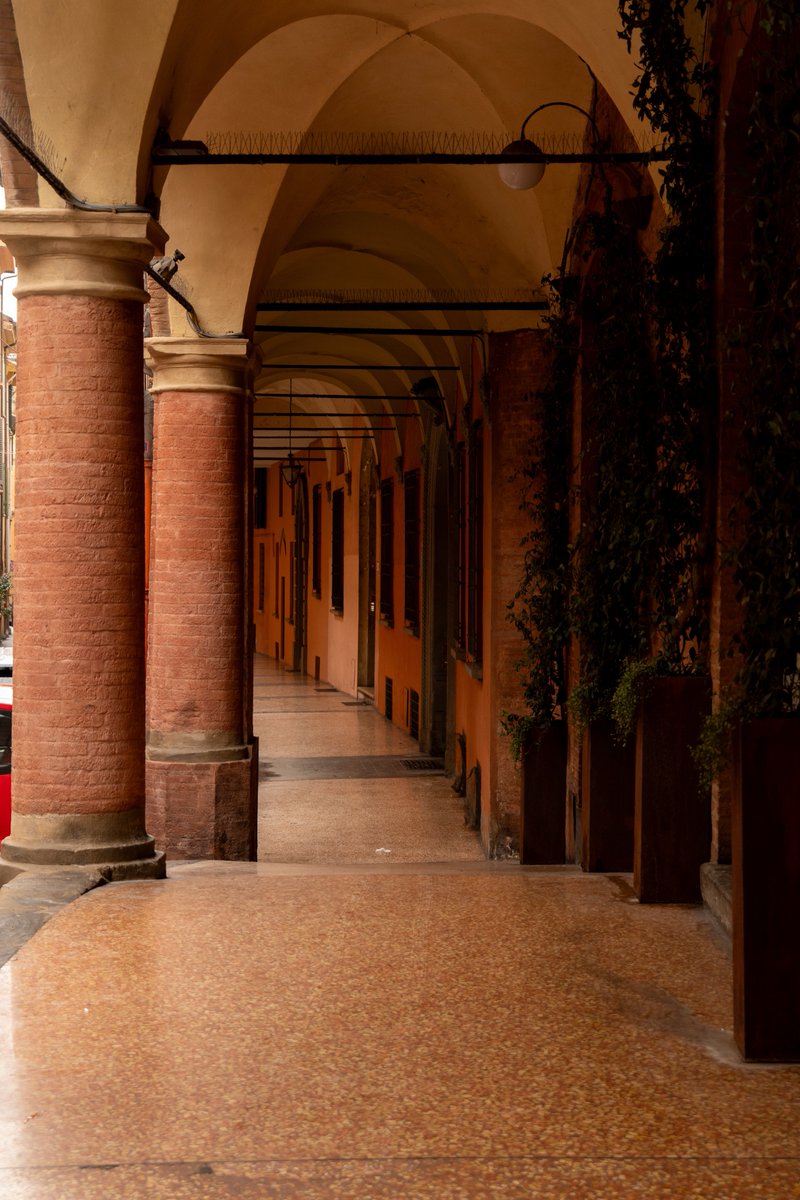 itsrapha83's tweet photo. The portici of Bologna🇮🇹 https://t.co/nvsoyEVXHi