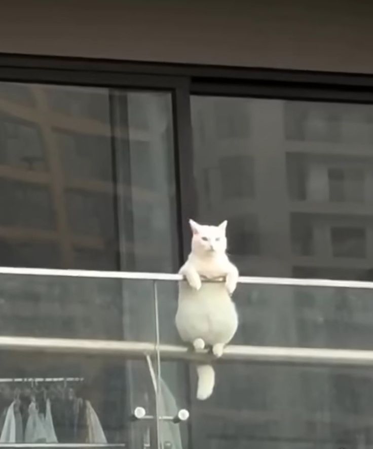 뒤 :                                                            앞 :