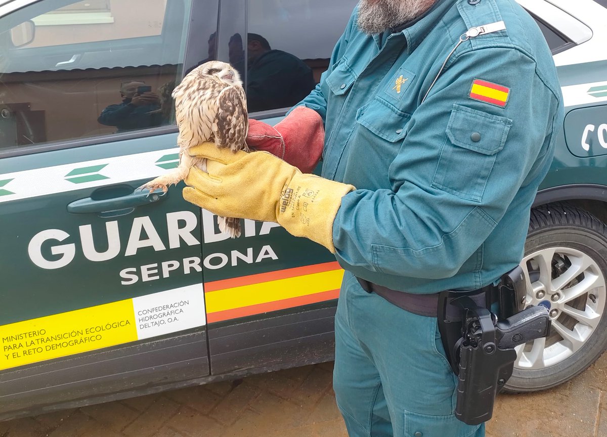 Guardia Civil Guadalajara tweet media