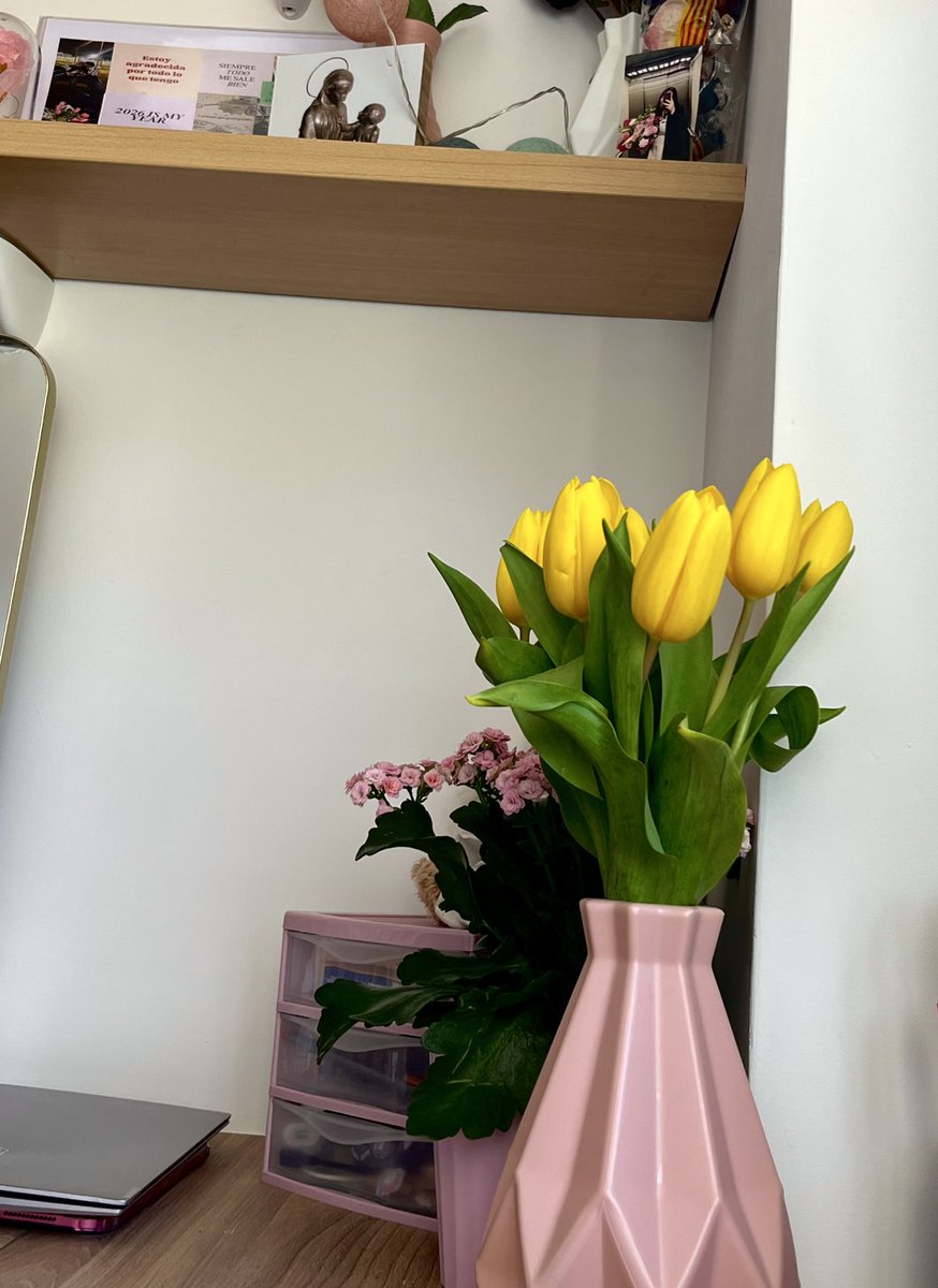 laelihacheele's tweet photo. estoy con la regla bajita de ánimos y mi novio me ha traído unos tulipanes😭💗jamás me había sentido tan cuidada a cualquier mínima cosa parece que estoy en un sueño https://t.co/AwOgU2slWZ