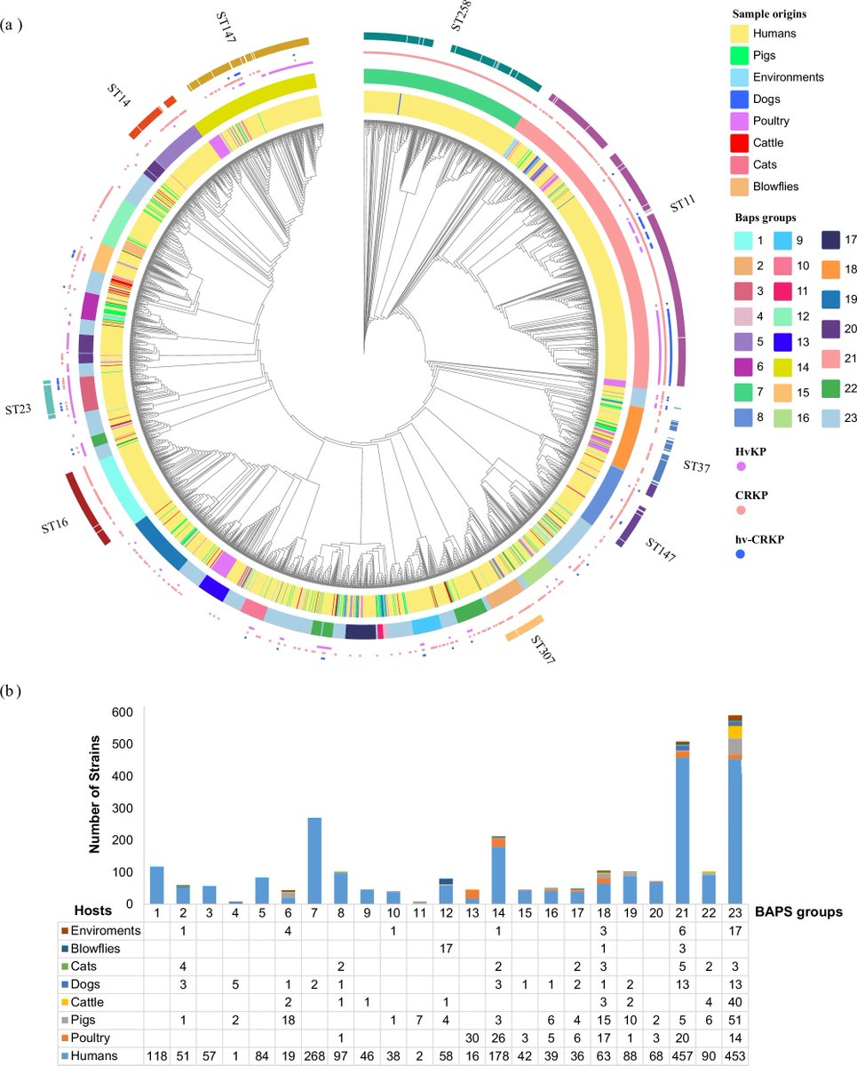 DraWataru's tweet photo. Global trends of antimicrobial resistance and virulence of Klebsiella pneumoniae from different host sources | Communications Medicine

(https://t.co/RTx6VPimLE) https://t.co/FVb21nMWfa