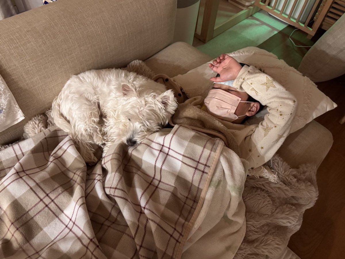 カワチ tweet media