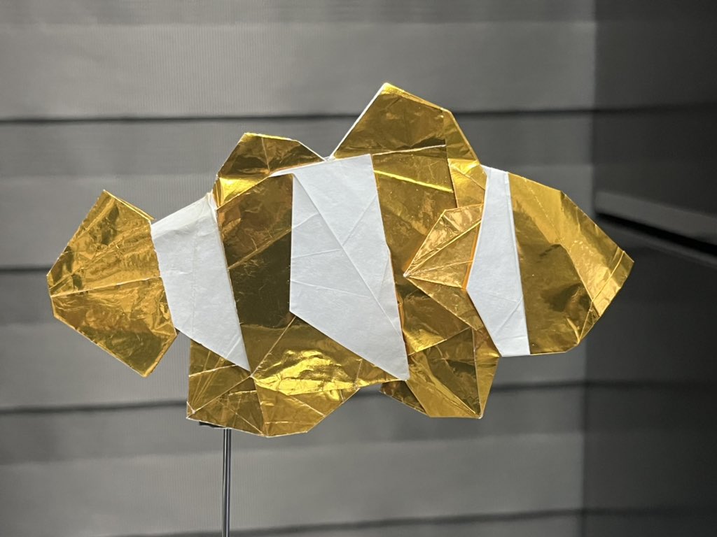 22.5 base 🐟🐟🐟🐟