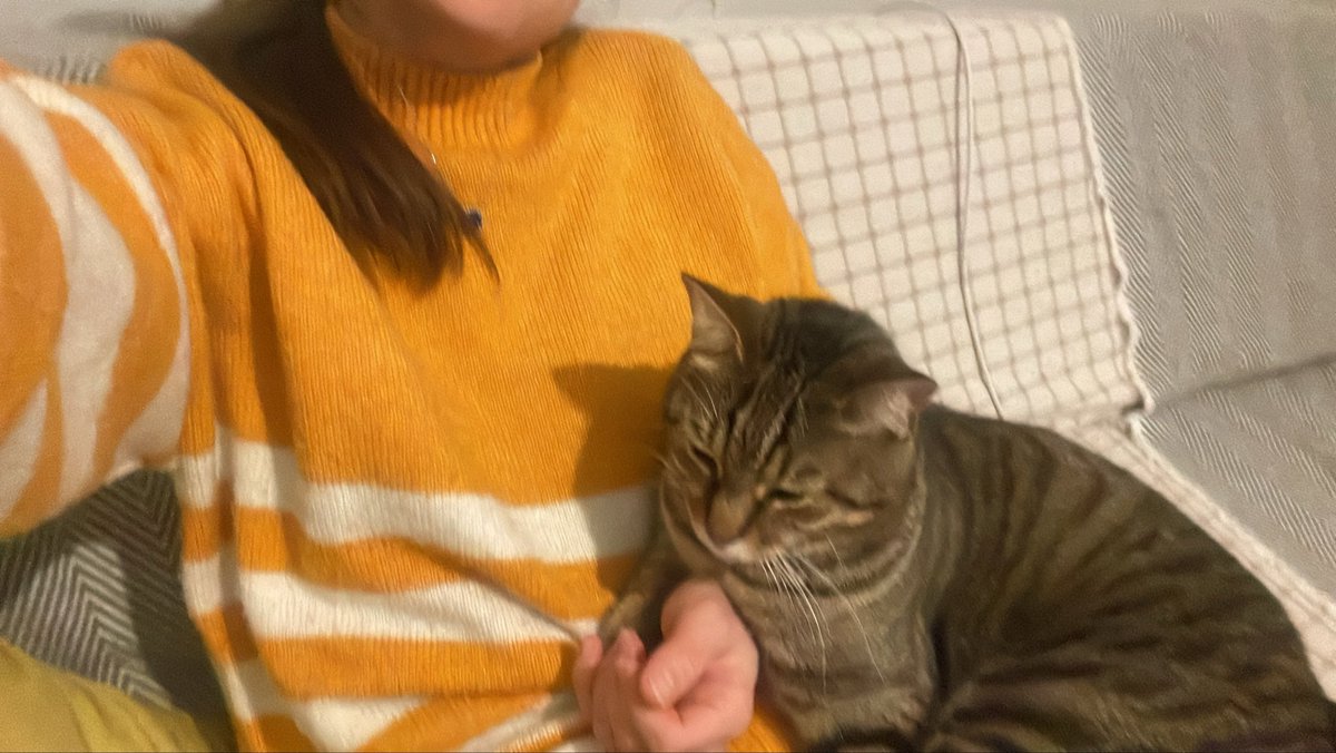 Erkek kedi yapışkanlığı diye bi şey var ve Paşa nereye gidersem orada beliriyor. Kesim günde 467716272 tane reels atıp üstüne kendisi arardı beni 🥰 canım oğlum