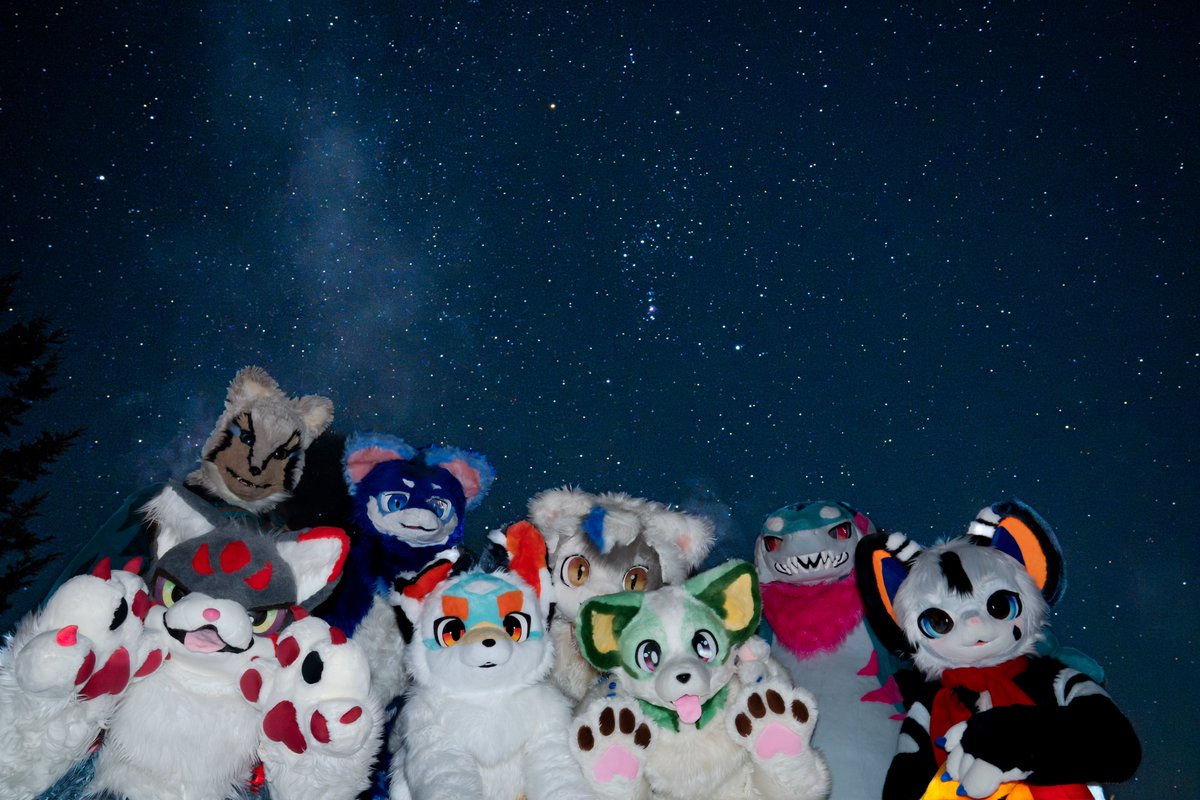 mofmoon🐈🐾 tweet media