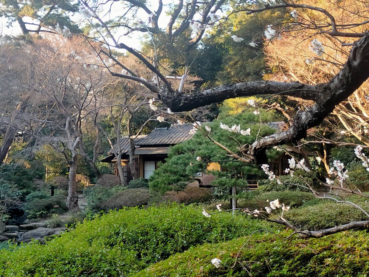 ひろひろ. (@16_o_16) / Posts / X