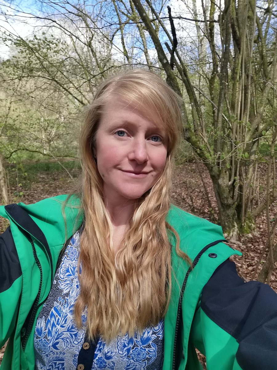 BGEN_Network tweet media