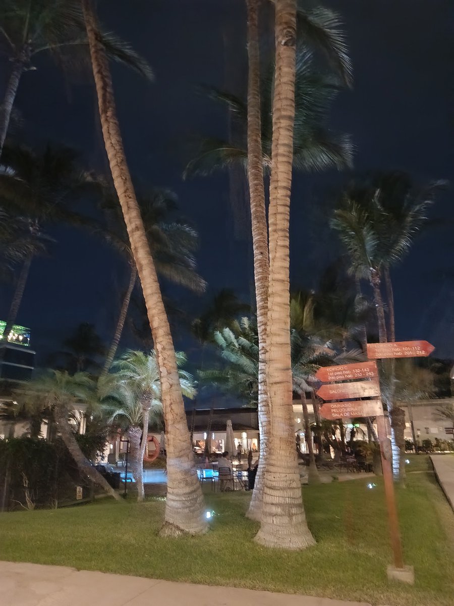 Enriquez2025 tweet media