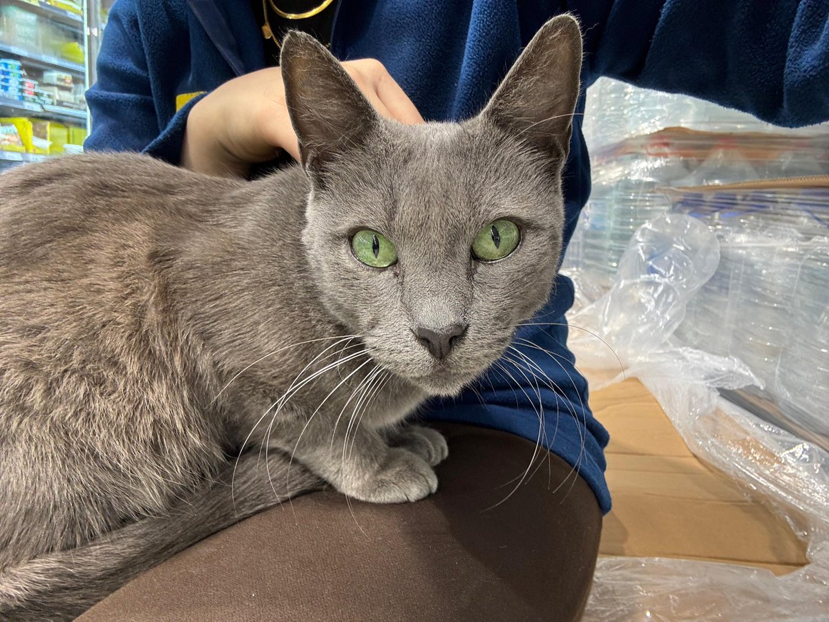 Arzu🇹🇷 tweet media