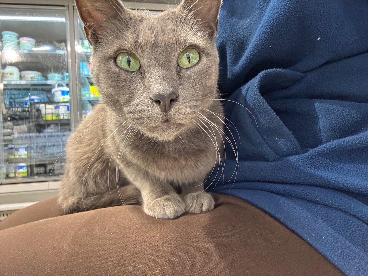 Arzu🇹🇷 tweet media