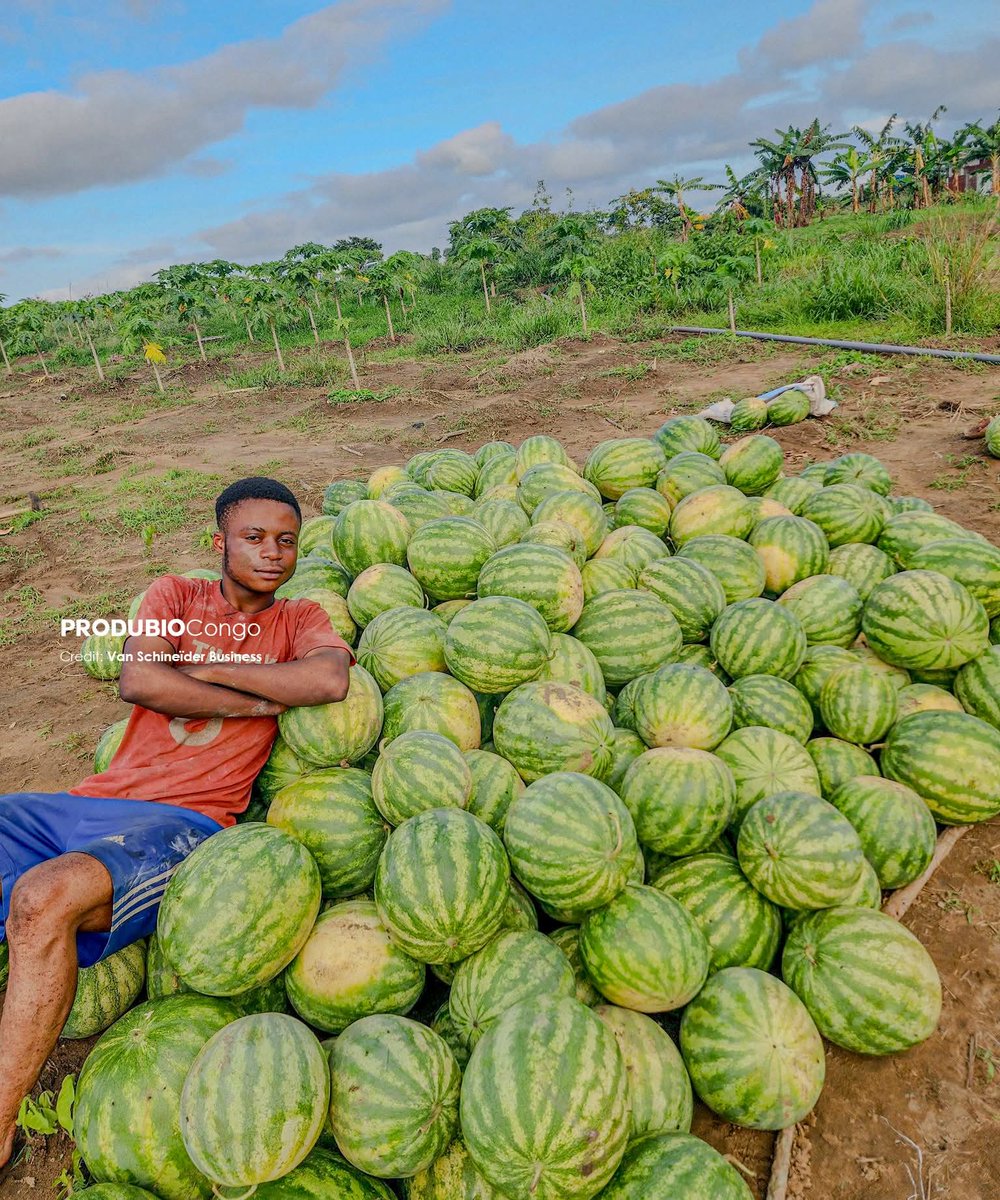 Produbio Congo tweet media