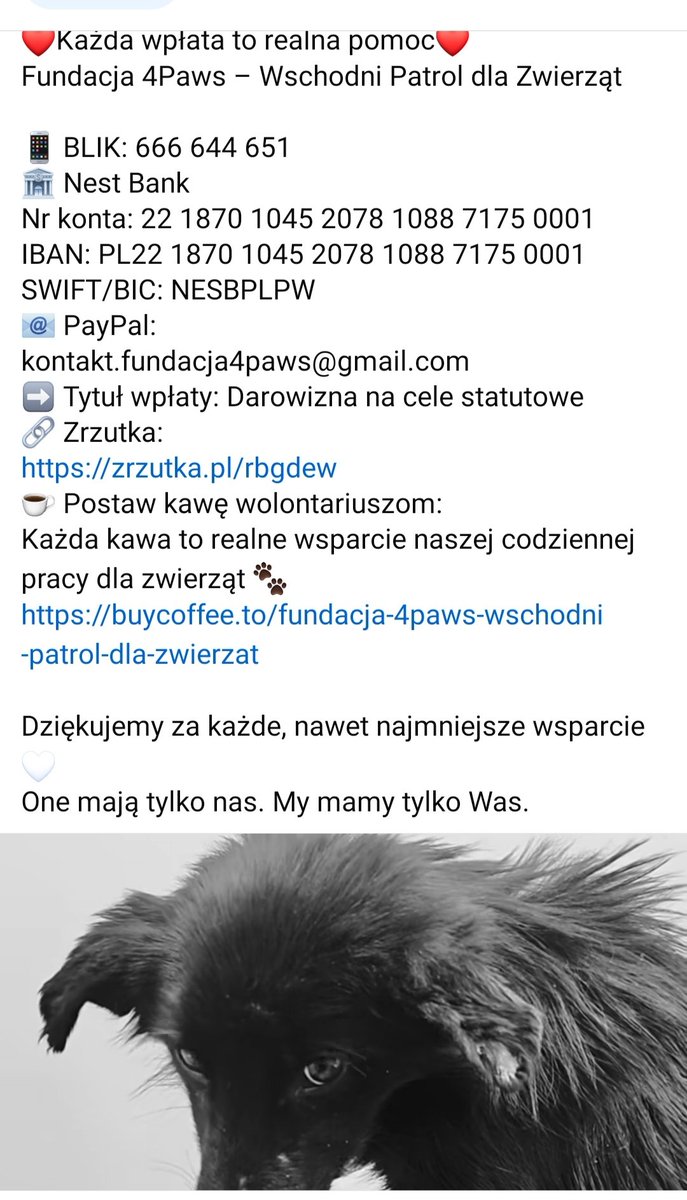 Kochani ❣️ Wracam do sprawy 16🐕odebranych,zagłodzonych,w ciężkim stanie fizycz. i psychicz.😭Te 3 dziewczyny nie dają rady, potrzebują pilnie wolontariuszy z Zamościa lub okolic ‼️‼️‼️