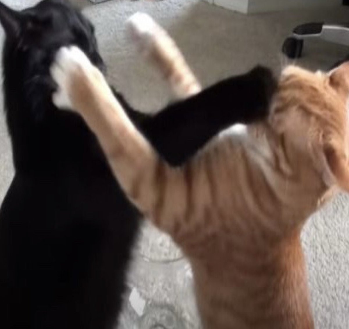 ci. (@sunscentskies) on Twitter photo 