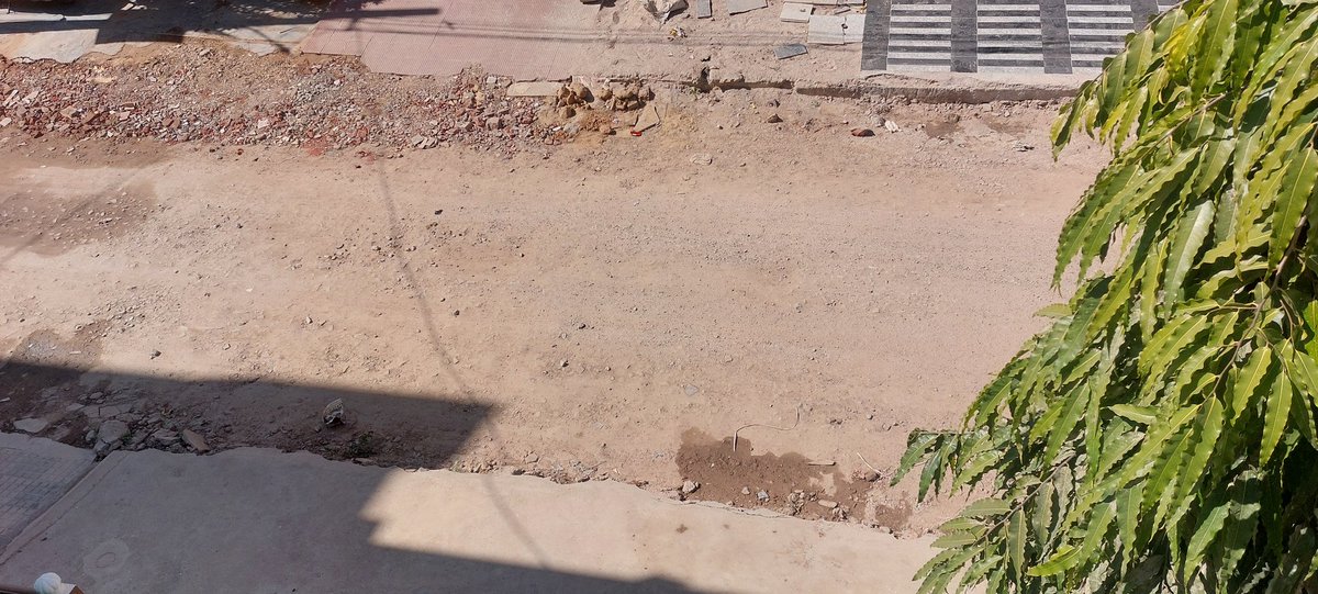 jaipareek143's tweet photo. माननीय @Ra_THORe सर आप पर ना तो गुस्सा कर सकते है नाही आप  से लड सकते है...
Address -shekhawat    Colony meenawala sirsi rode 

4 से  6 माह हो गए है JDA ने लीपापोती के अलावा कुछ नहीं किया। 

 ध्यान दे @Ra_THORe https://t.co/yEAhGXOdNL