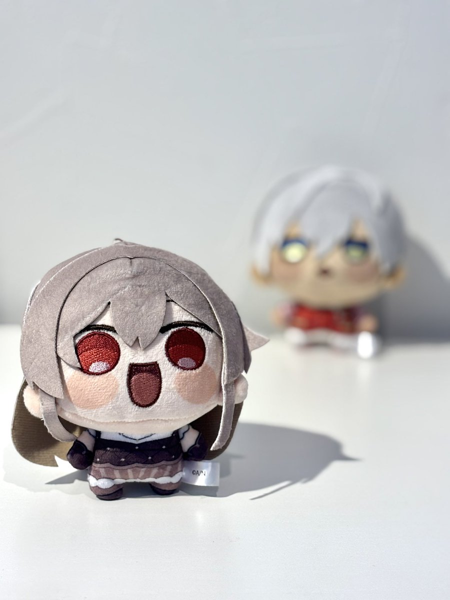 📷ˊ˗ ちゃんと撮ってるよ🌷