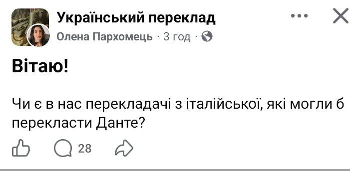 дуже красивий кіт tweet media