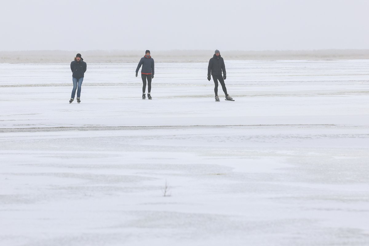 Burt Sytsma tweet media