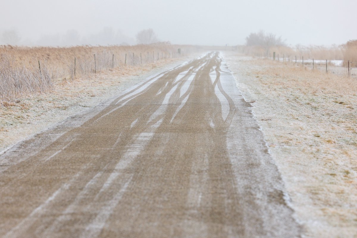 Burt Sytsma tweet media