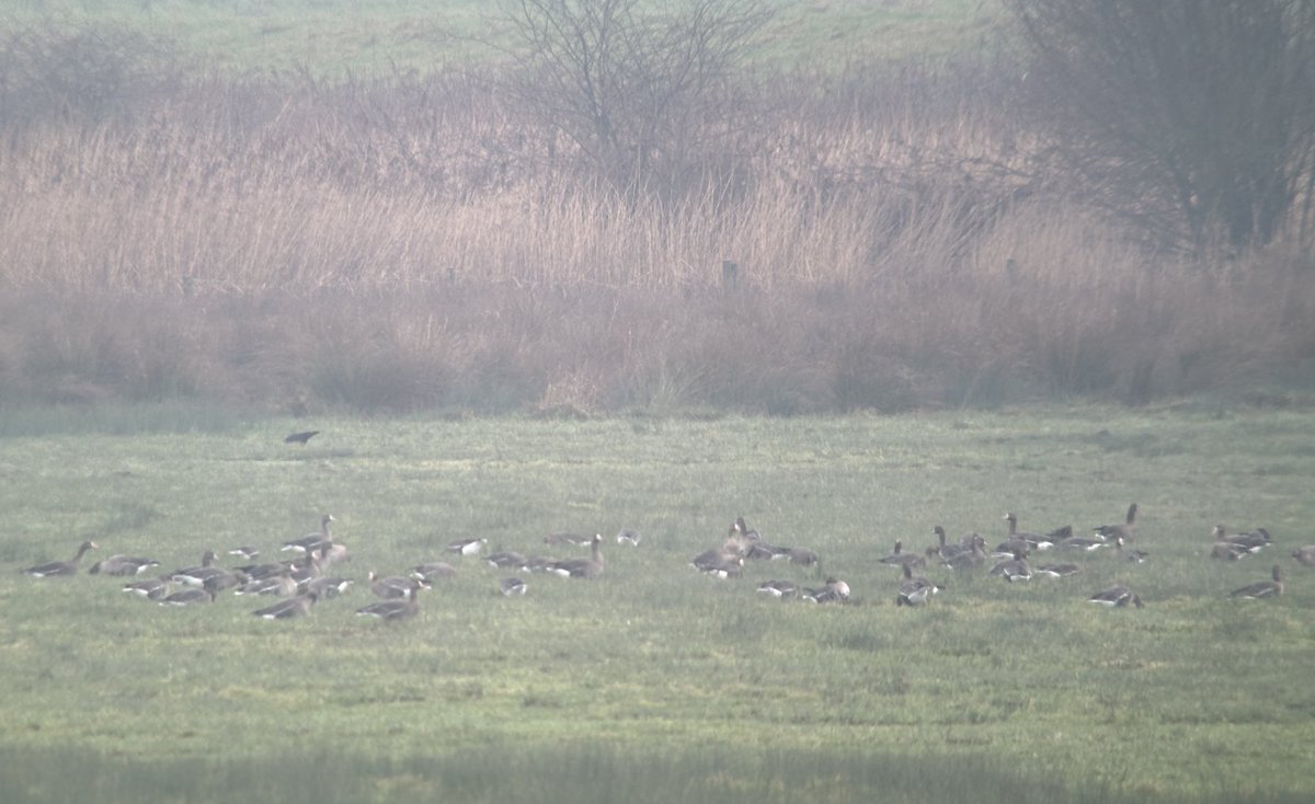 Tim Jukes tweet media