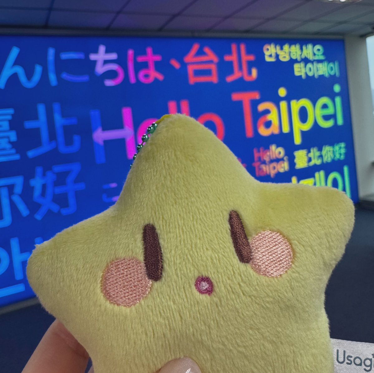 ほしちゃん in taiwan😸