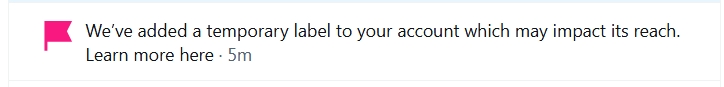 side888effects's tweet photo. update on main account: today I made a new post after grok advising, so to keep the account active and dont trigger other algorithmic flags, with total inactivity, I got a flag and the ability to ask for a manual review, I hope it works somehow and a real person sees me 🥹👀 https://t.co/Or8bcf4qzs