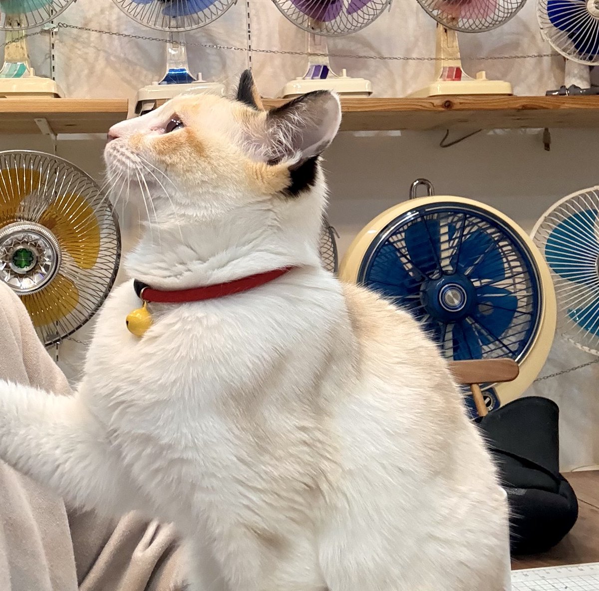 なみそ📕KEN/書籍重版！感謝📙 (@omochi_nam01) / Posts and Replies / X