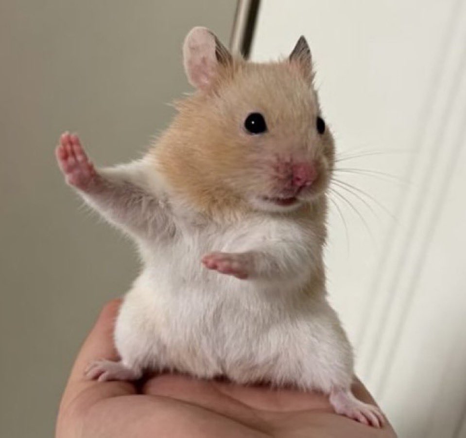 ちょっと待て、アイツまだ諦めていないぞ