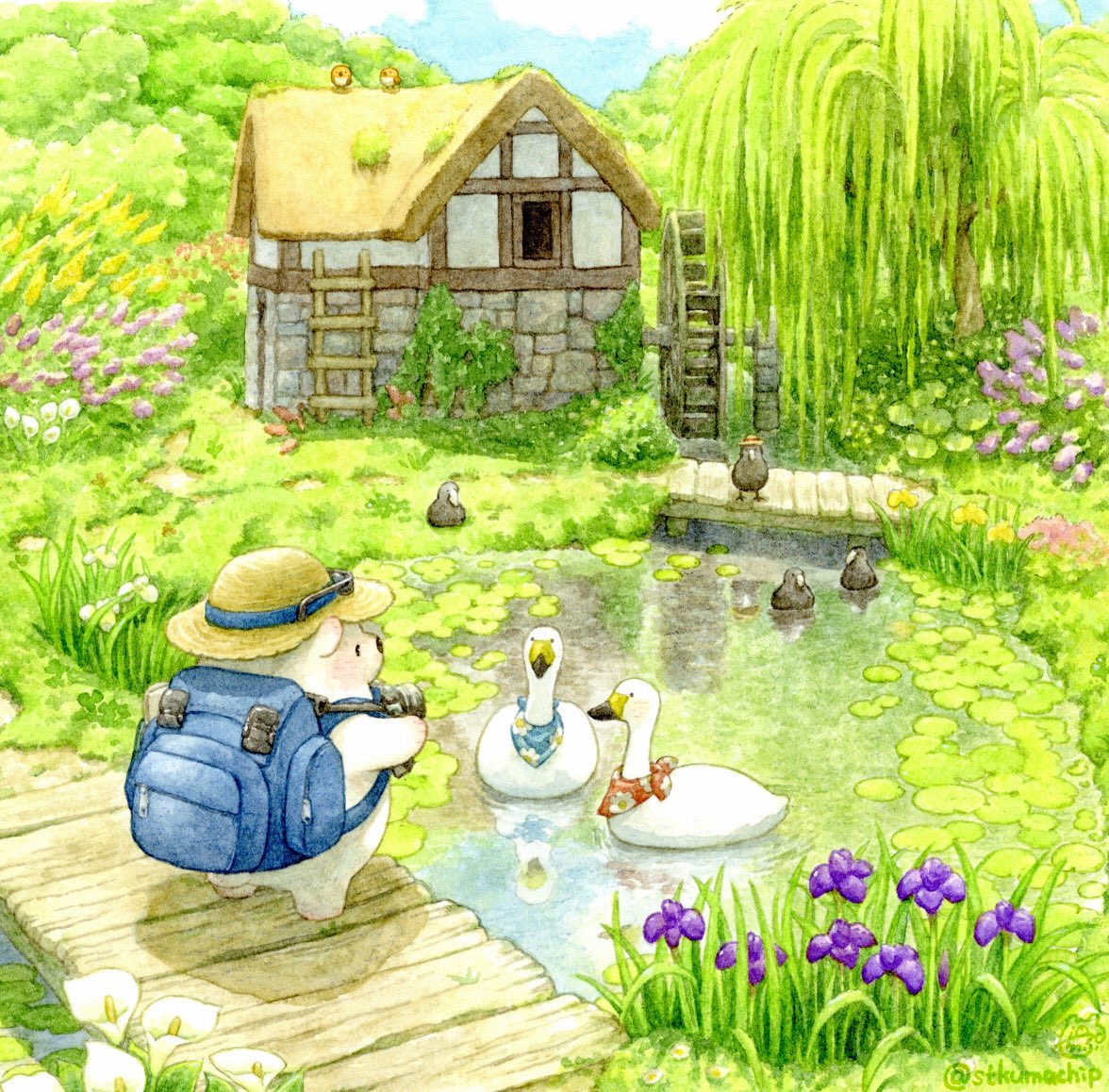 Post by ちっぷ@塗り絵新刊 on X: 写真家くまの旅