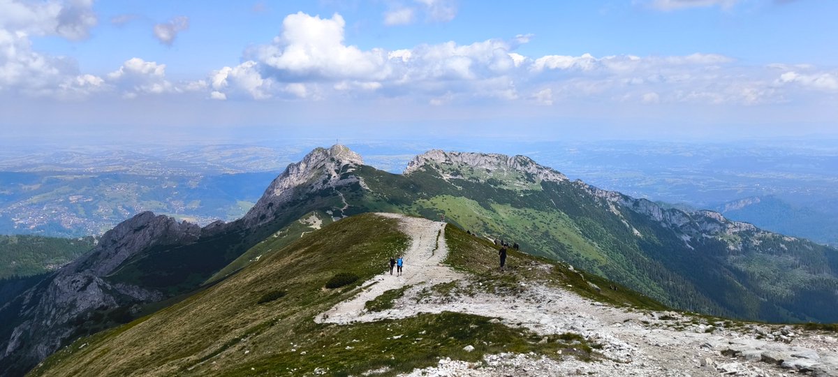 FreeWolf (@johnlocke1125) on Twitter photo 