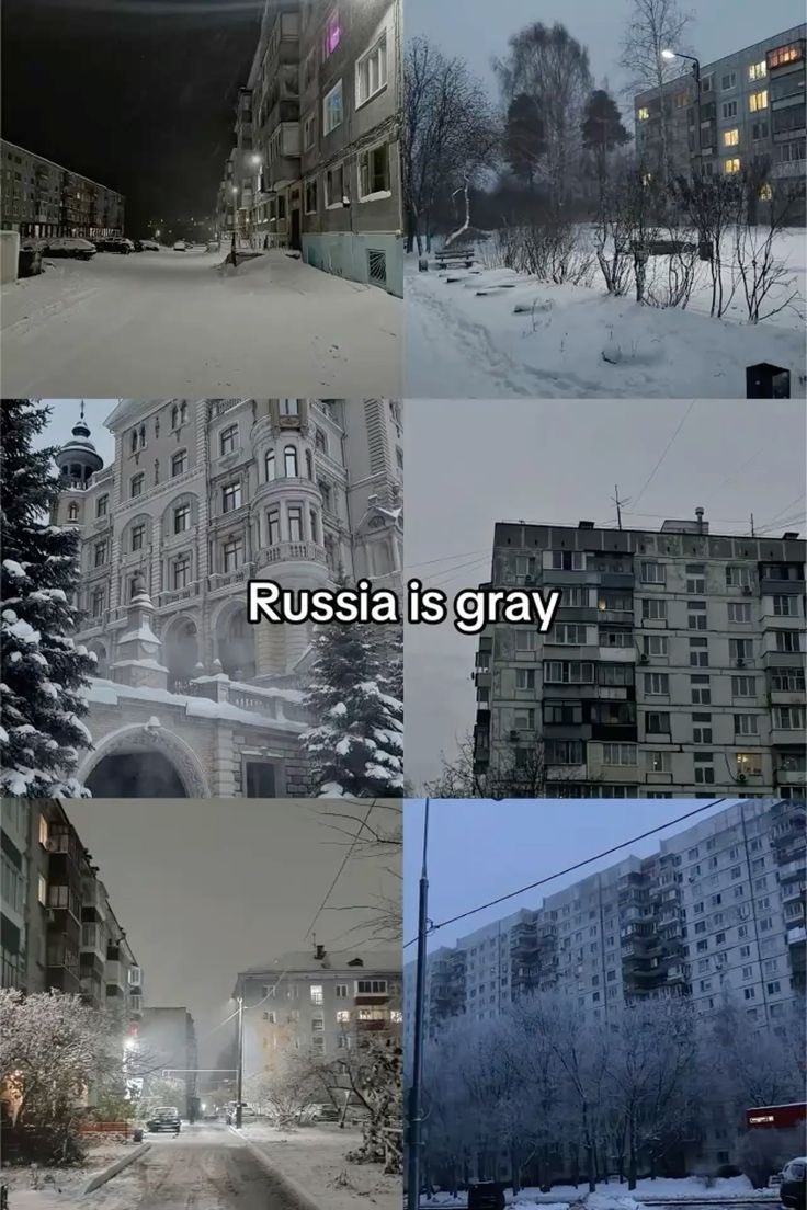 🌹ディアナちゃんねる🌹 tweet media