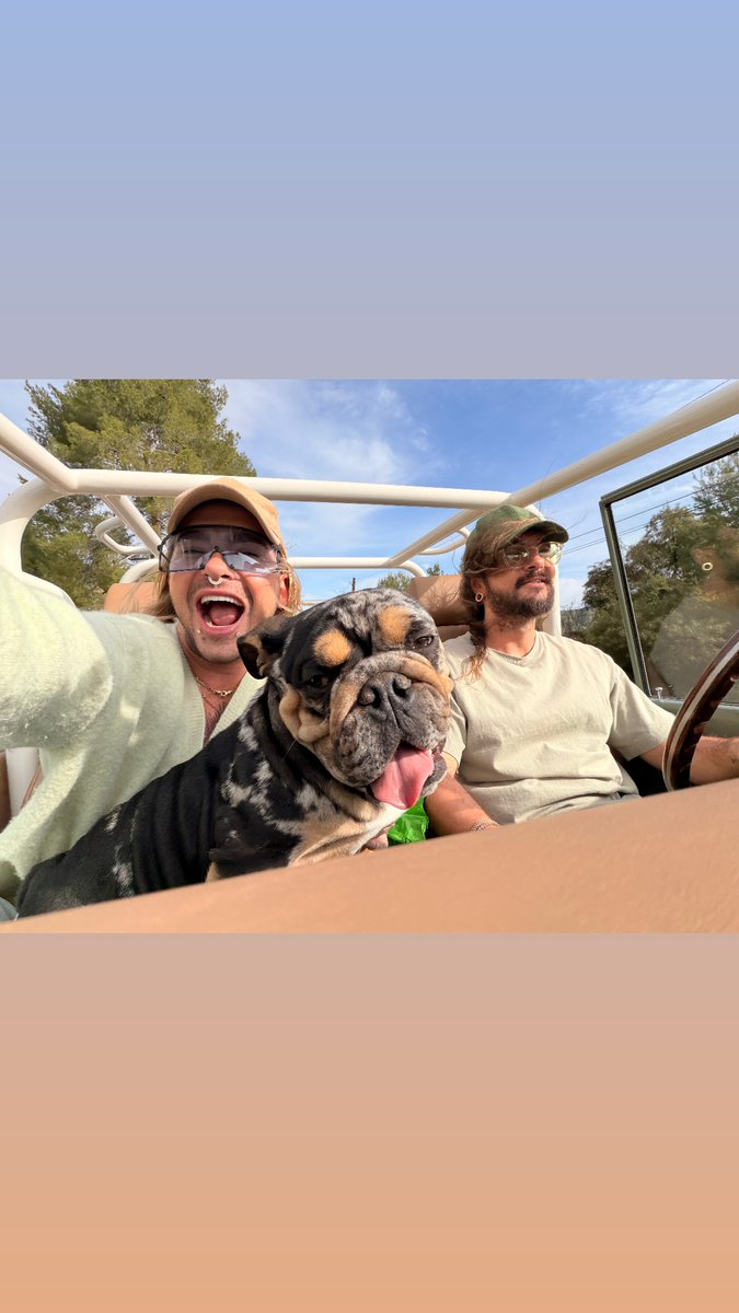 FOFOS!

Bill e Tom levaram Alvin, o doguinho de Bill, para conhecer a praia pela primeira vez

📸: Bill Kaulitz via Instagram