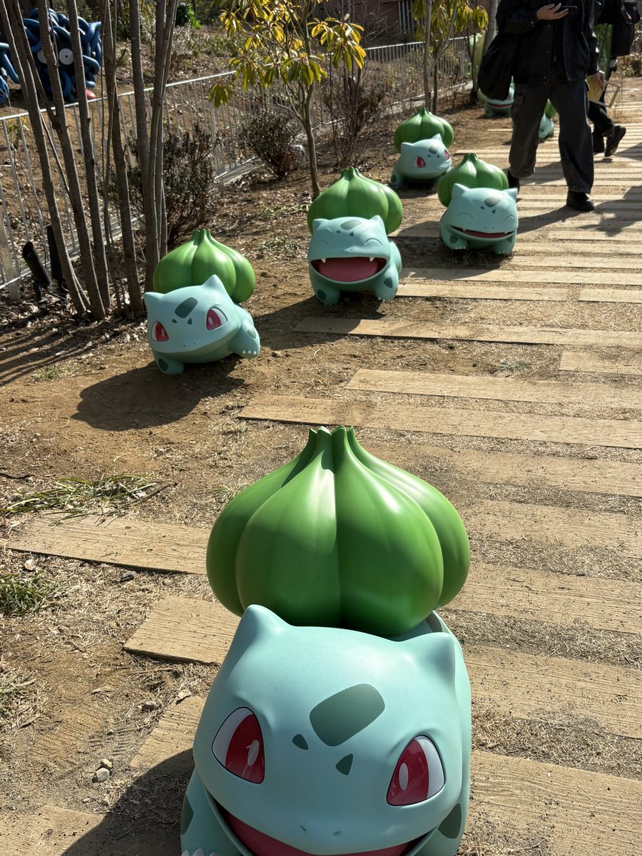 ちなみにポケパークにはフシギダネ、フシギソウ、フシギバナ居ます