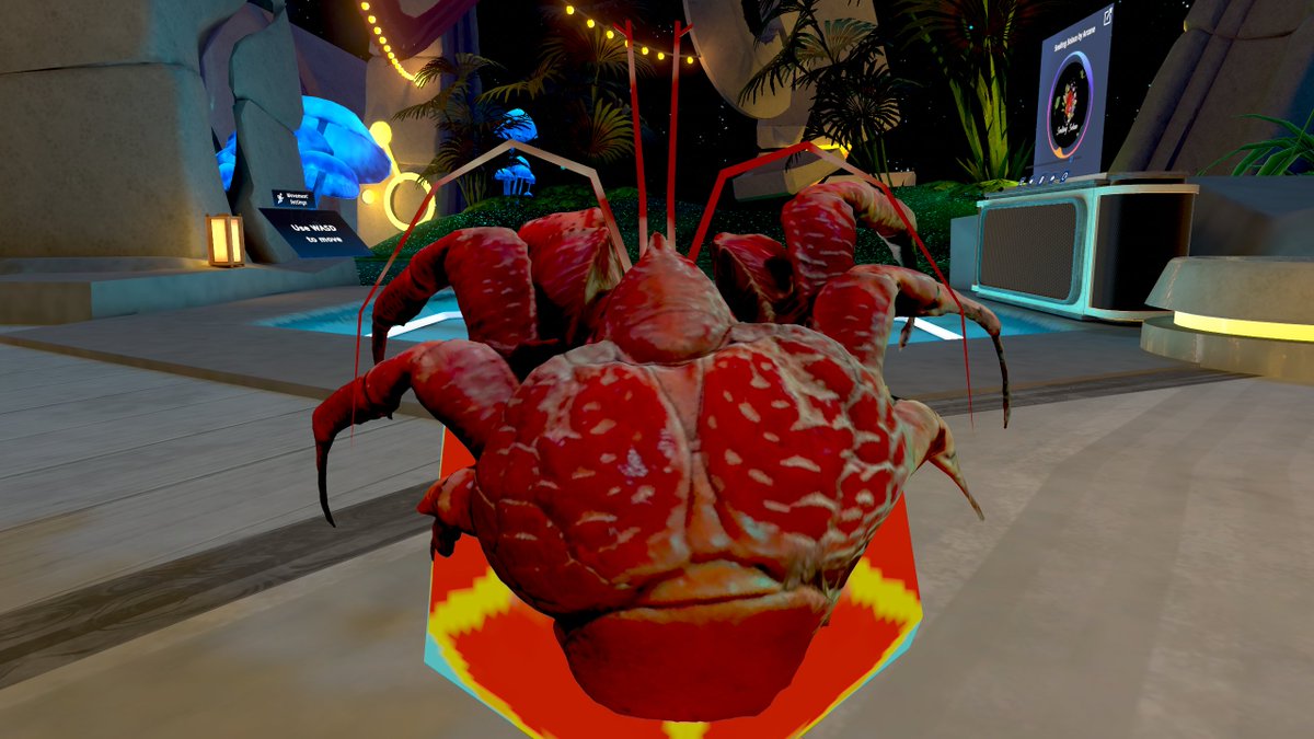 Post by ヂョージ🌺 on X: ヤシガニ！！