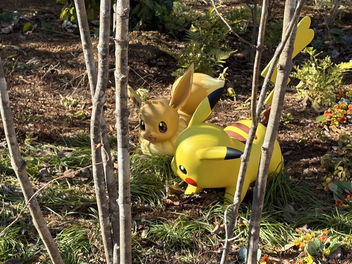 ひなこ tweet media