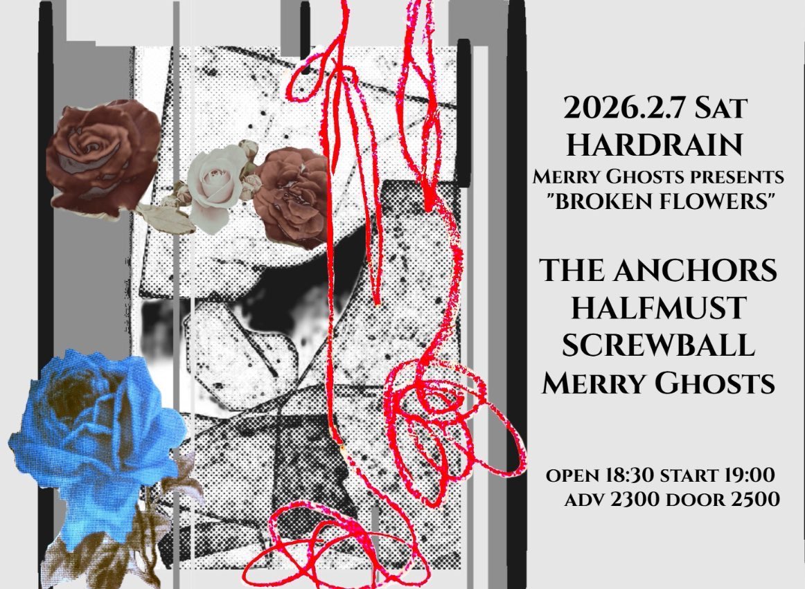 明日です！関西の皆様宜しくお願いします💐 2/7 sat 梅田HARD RAIN