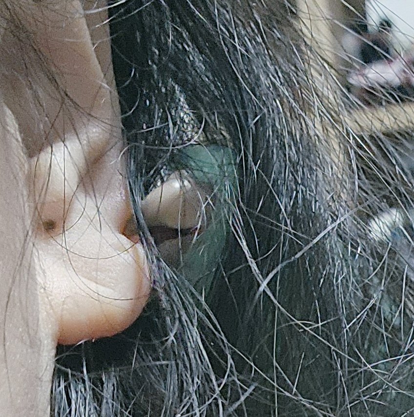 「저희집에 뱀이 나왔습니다 검은풀속에서 뭔가가 귀를 콱 물길래 봤더니 얼룩」|~4자나미~막내/듬직/꽃분/늘のイラスト