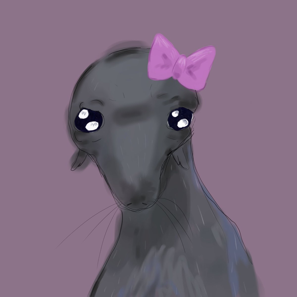 moefullest's tweet photo. #sealion #artmoots #bowtwt #pillowtwt #artcc https://t.co/qOGhmrilBc