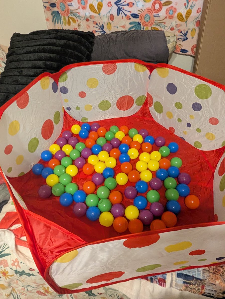 DogsRAngels1's tweet photo. It is T Minus 3 days until this Knuckleheads 1st Birthday. Mom has added 100 more balls to this pit for the big day! #dogsofX #countdowncontinues https://t.co/Jzhm0nGhE6