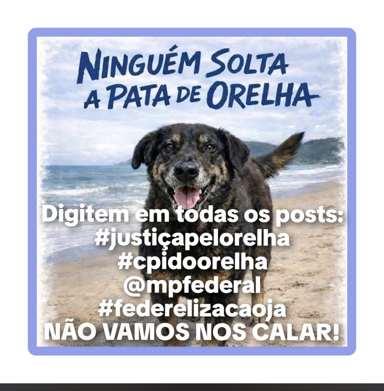 #BomDia A TODOS QUE AMAM, DEFENDEM, RESPEITAM, ADOTAM E AJUDAM OS ANIMAIS!!🙏🙏🙏🐾🐾🐾🐾🐡🐠🐟🐬🐳🐆🦓🦍🦧🐘🦛🦏🐪🦒🦘🦬🐃🐂❤️❤️❤️🌹🌹🌹🌹🇧🇷