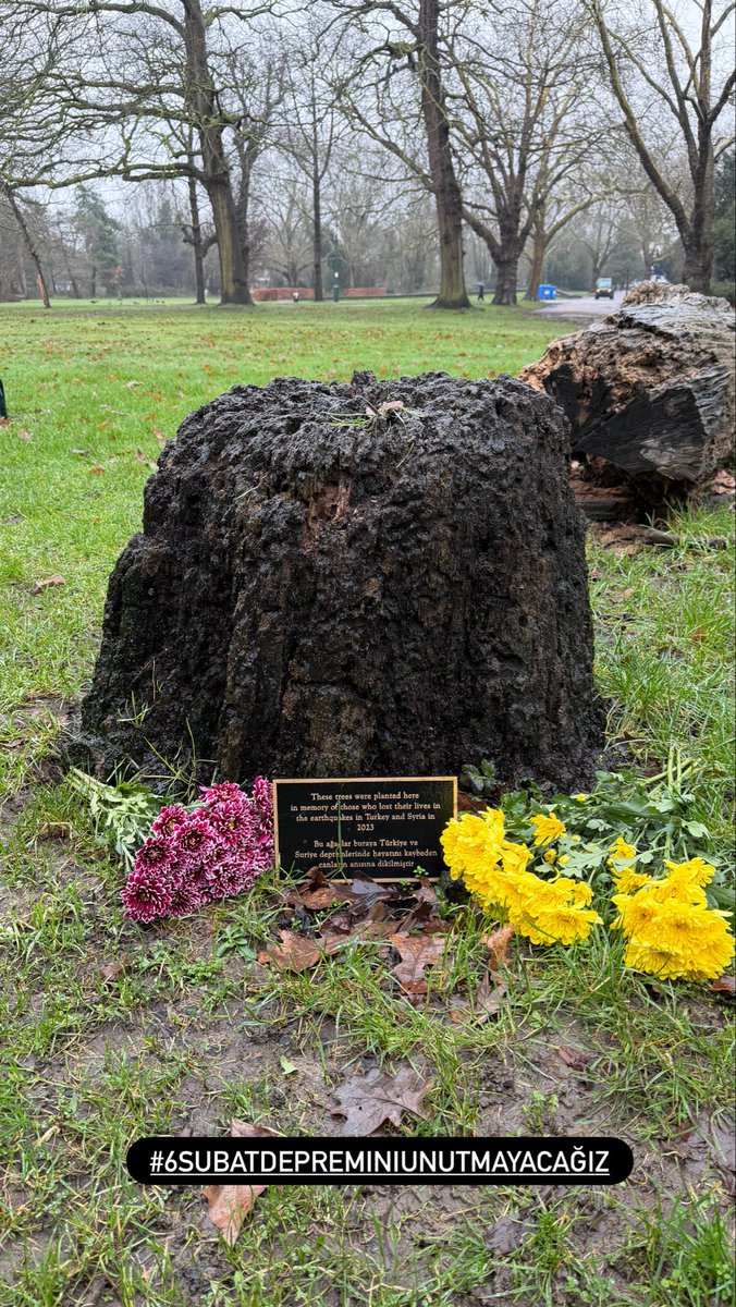 Susan Erbil tweet media