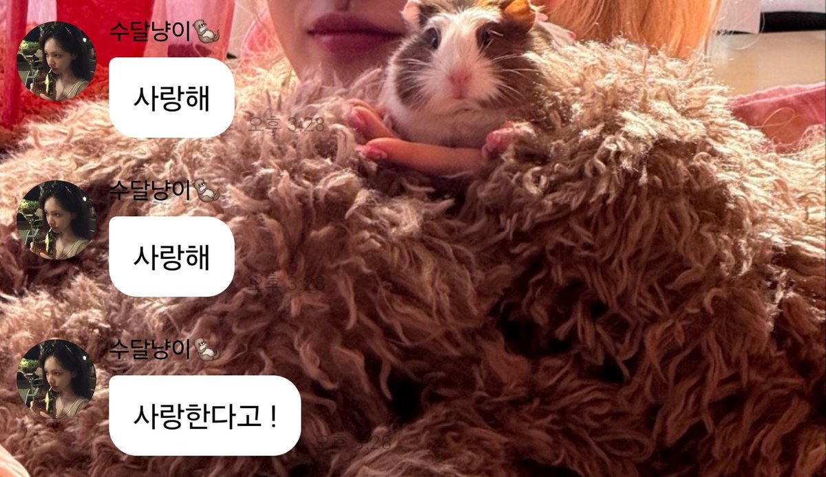싸우고 나서 사과 카톡 같다 이 불안형 애인 어떡하지