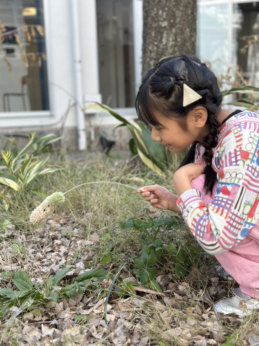 ＼\ ワークショップのお知らせ /／
3連休は、毎日ねこじゃらしぬいぐるみを作ってます🌱
振り回しても楽しいし、ぬいぐるみやお花と一緒に飾っても💐

みなさんのいろんなねこじゃらしが生えるの、とても楽しみです🌱🌱🌱

ぜひ遊びにいらしてください〜！
詳細は👇

(1/3)