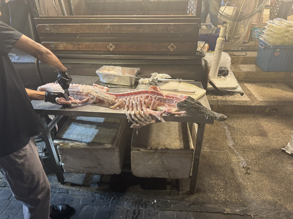 Zack Morris tweet media