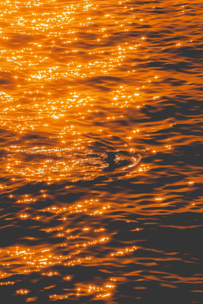 Max Pillet tweet media