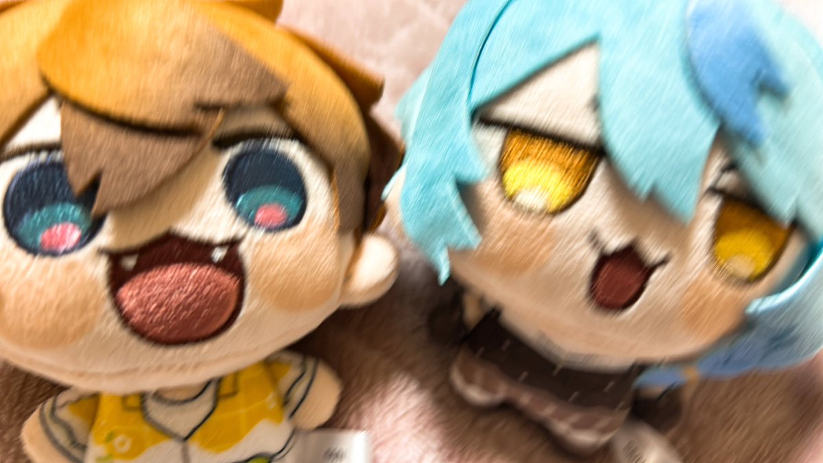 夜星 tweet media