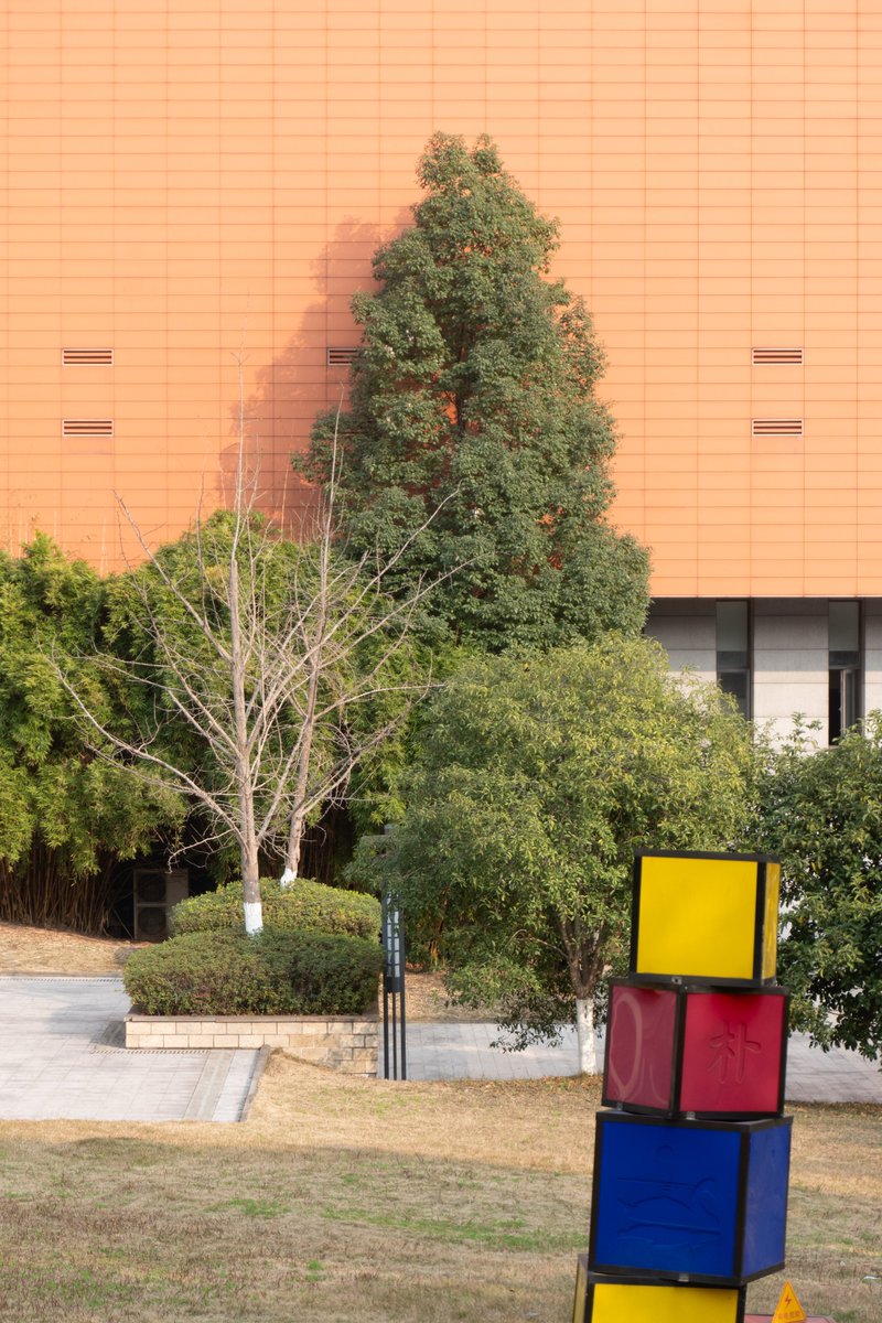 renhongji1990's tweet image. 今天的校园和阳光～
#CQU