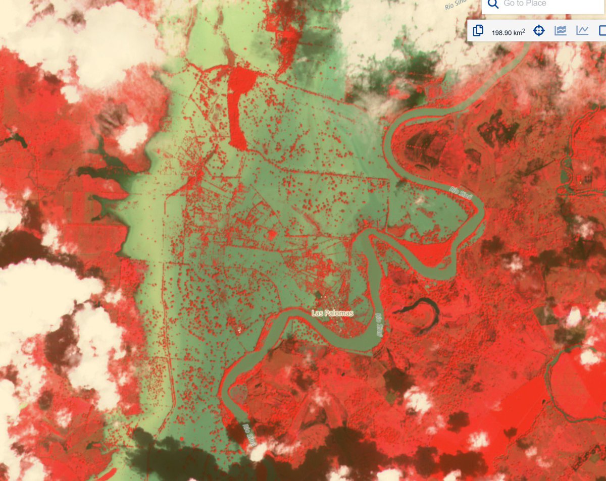 Lo que está pasando en Guasimal , las Palomas y otros corregimientos y veredas de la zona rural duele. Son familias que hoy ven el agua entrar a donde está su historia, su trabajo y su vida diaria. Nuestra solidaridad y acompañamiento total con ellos.

El río Sinú, tras varios
