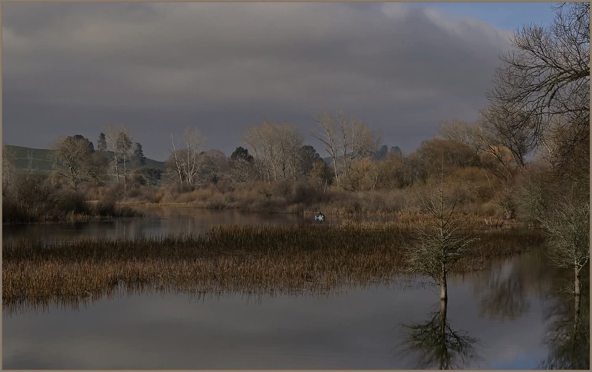 hottriggeredkiwi tweet media